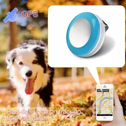 Traceur GPS pour chien PETFON avec moniteur d'activité pour chien